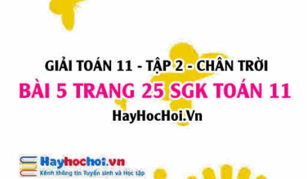 Bài 5 trang 25 Toán 11 tập 2 Chân trời sáng tạo